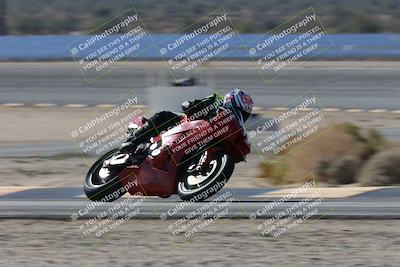 media/Nov-16-2025-Race Pace (Sun) [[8c5fa54630]]/Verified Riders/3-Turn 14 (1045am)/